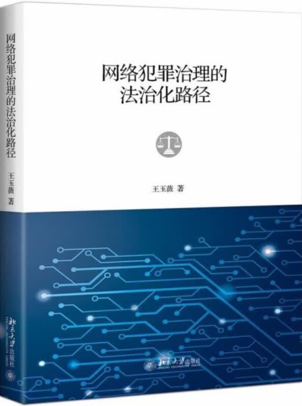 网络犯罪治理的法治化路径