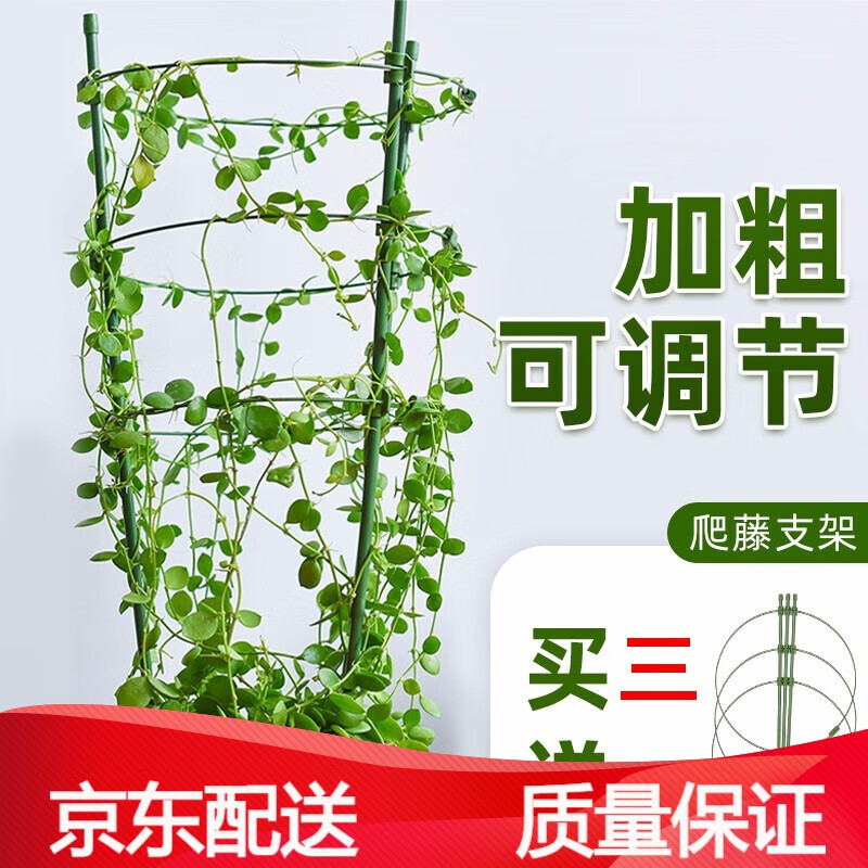 宝御安爬藤架花支架园艺支架植物攀爬架铁艺支柱室内外月季铁线莲花架花盆防歪花支撑支架调节款60cm高 3杆3圈 圈28cm 1个 虎窝购 宝御安爬藤架花支架园艺支架植物攀爬架铁艺支柱室内外月季铁线莲花架花盆防歪花支撑支架调节款60cm高 3杆3圈 圈28cm 1个 虎窝购