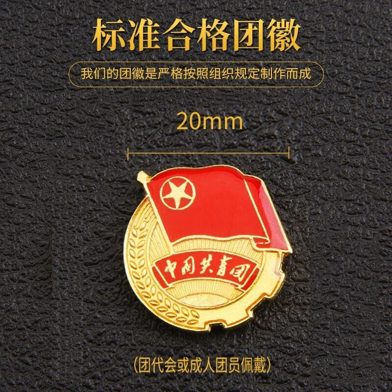 sitoo 中国共青团 团徽 团员胸章徽章 磁扣安全扣蝴蝶扣款团员团徽