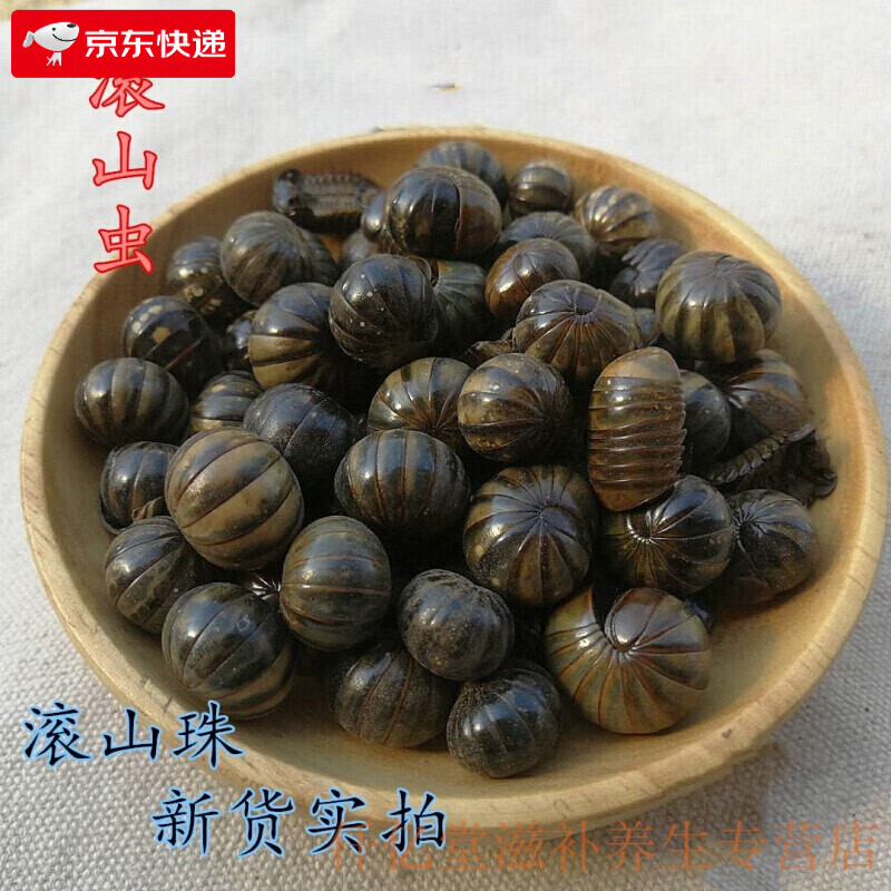 滚山珠虫 地罗汉 滚山虫10克起20克 100克250克 滚山虫【20克】