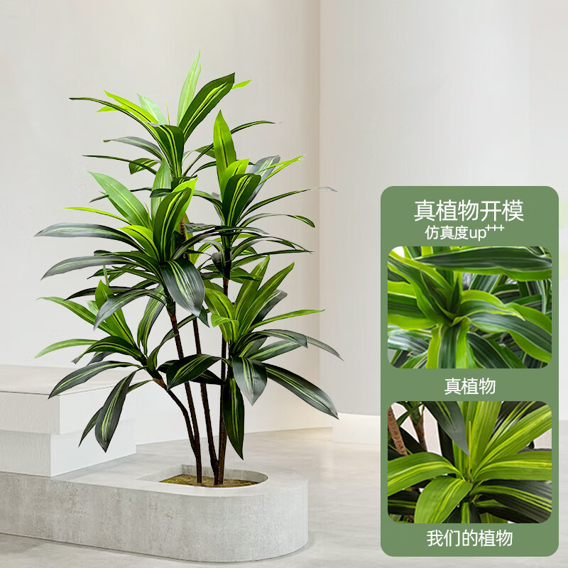 森空间仿真植物巴西木室内客厅落地盆栽装饰摆件北欧风仿生假绿植