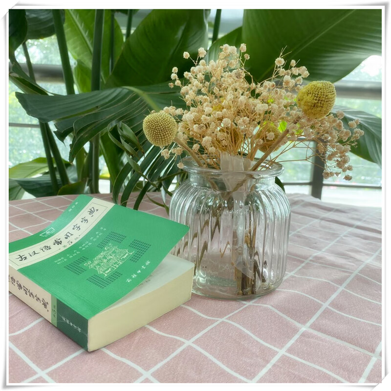 古汉语常用字字典 第5版 缩印本 王力 等 编 汉语工具书