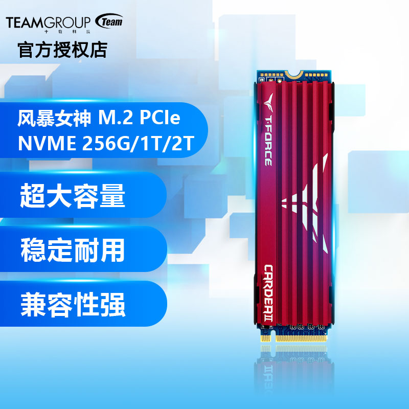 十铨科技 ssd固态硬盘风暴女神/z440 m.