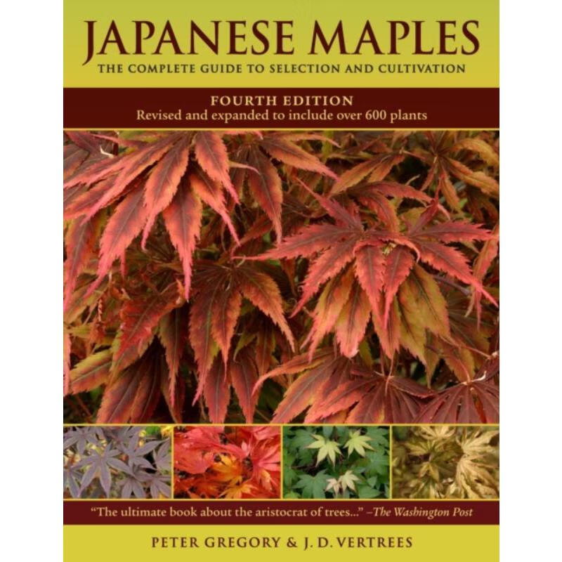 预订japanese maples