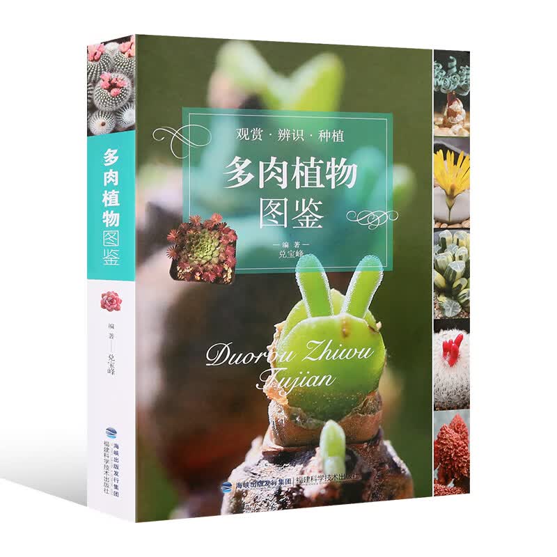 多肉植物图鉴