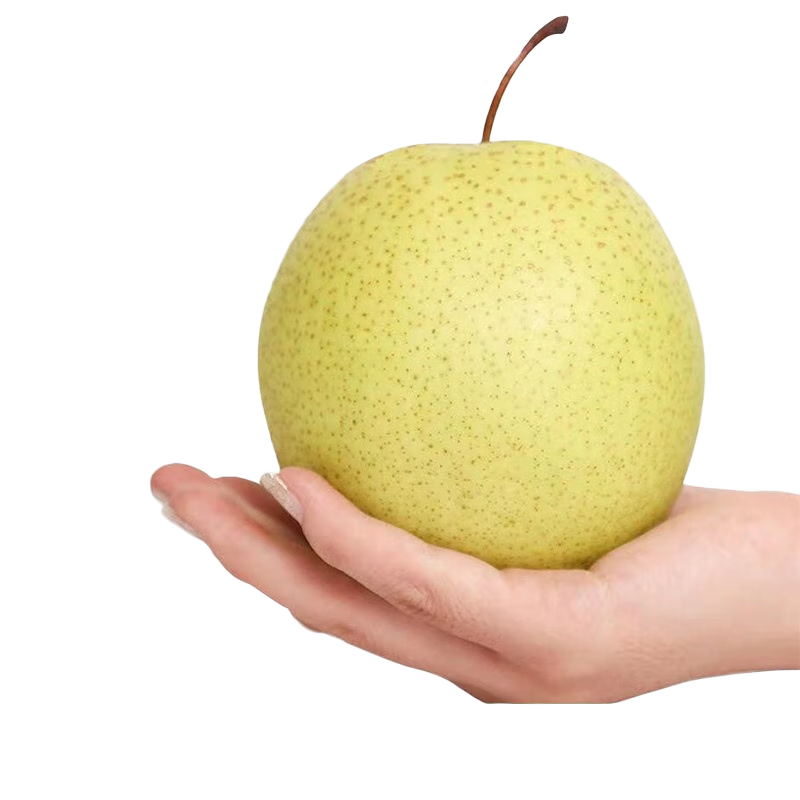 ԶYUANDAӱزѩ5ѩˮˮ ѩ澻4.59 13.89Ԫ