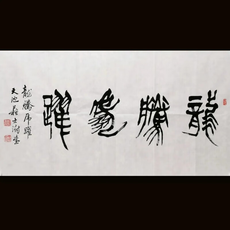 名家书法苏士澍篆书龙腾虎跃手写作品客厅字画收藏挂画