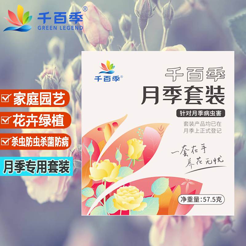 千百季月季套装藤本丰花大花香水月季白粉病黑斑病红蜘蛛介壳虫蚜虫花药怎么看?