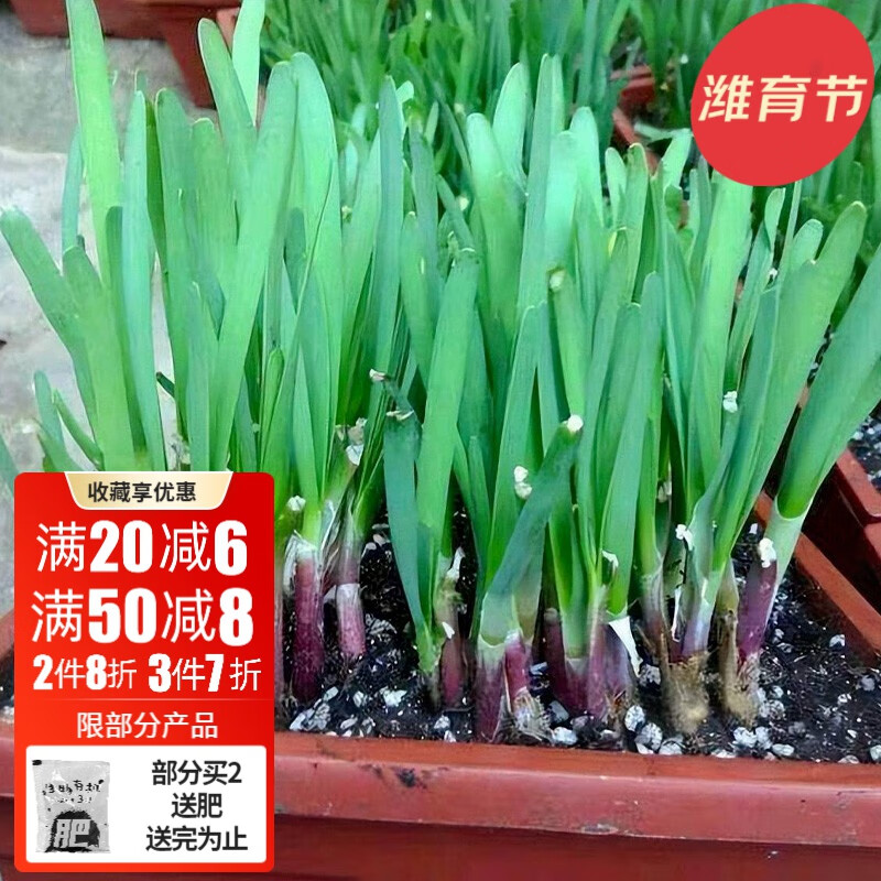 怎么看京东蔬菜类最低价|蔬菜类价格历史