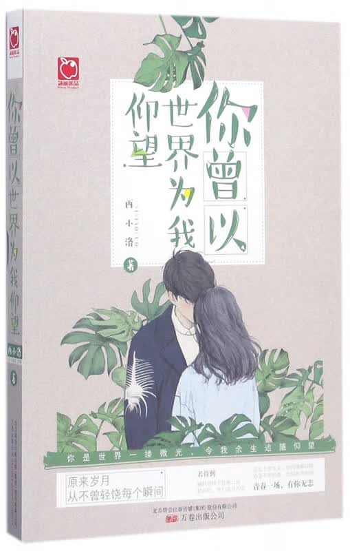 你曾以世界为我仰望