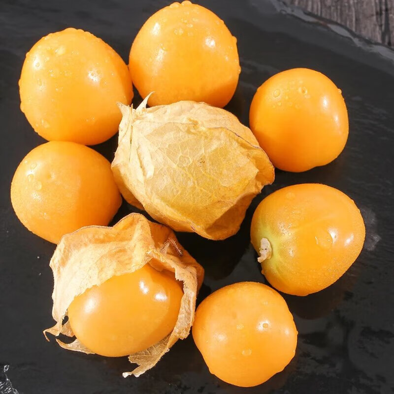 新鲜东北黄菇娘果当季水果甜灯笼果菇鸟儿应季整箱现 4斤香甜姑娘果