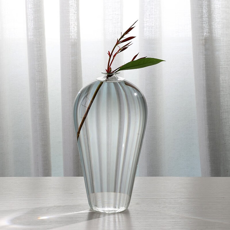 剑山玻璃花瓶透明插花水养鲜花水培植物中式器皿客厅桌面摆件梅瓶净瓶