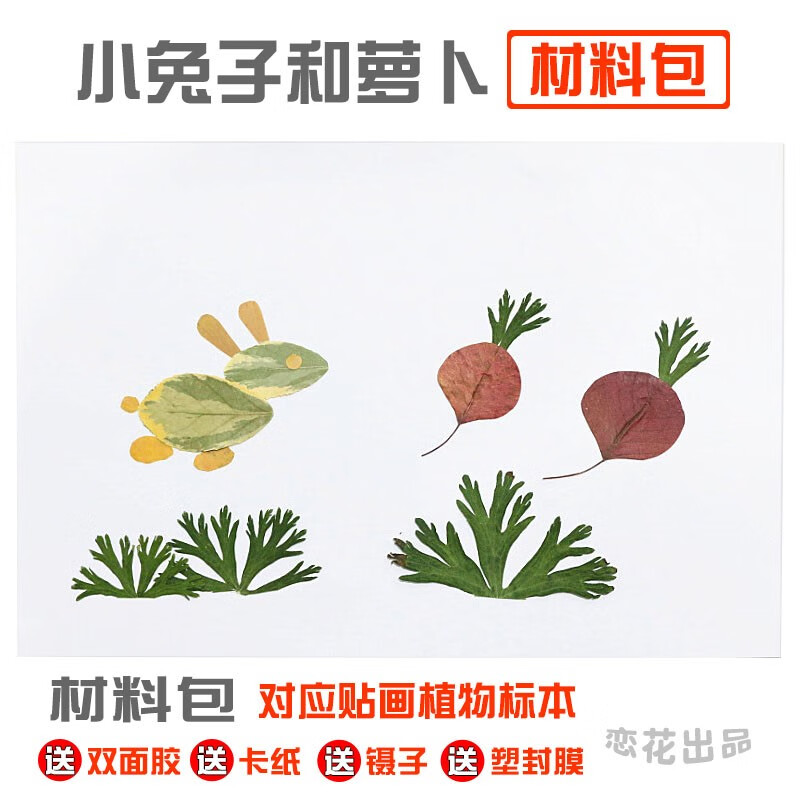 澳颜莱树叶粘贴画成品 树叶贴画真植物标本材料包幼儿园儿童作业子