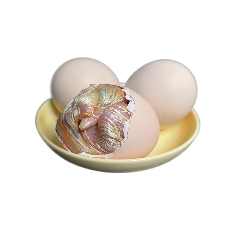 30枚新鲜毛蛋18到20天鸡胎蛋旺鸡蛋喜蛋毛胚蛋烧烤用生蛋发货团建送礼