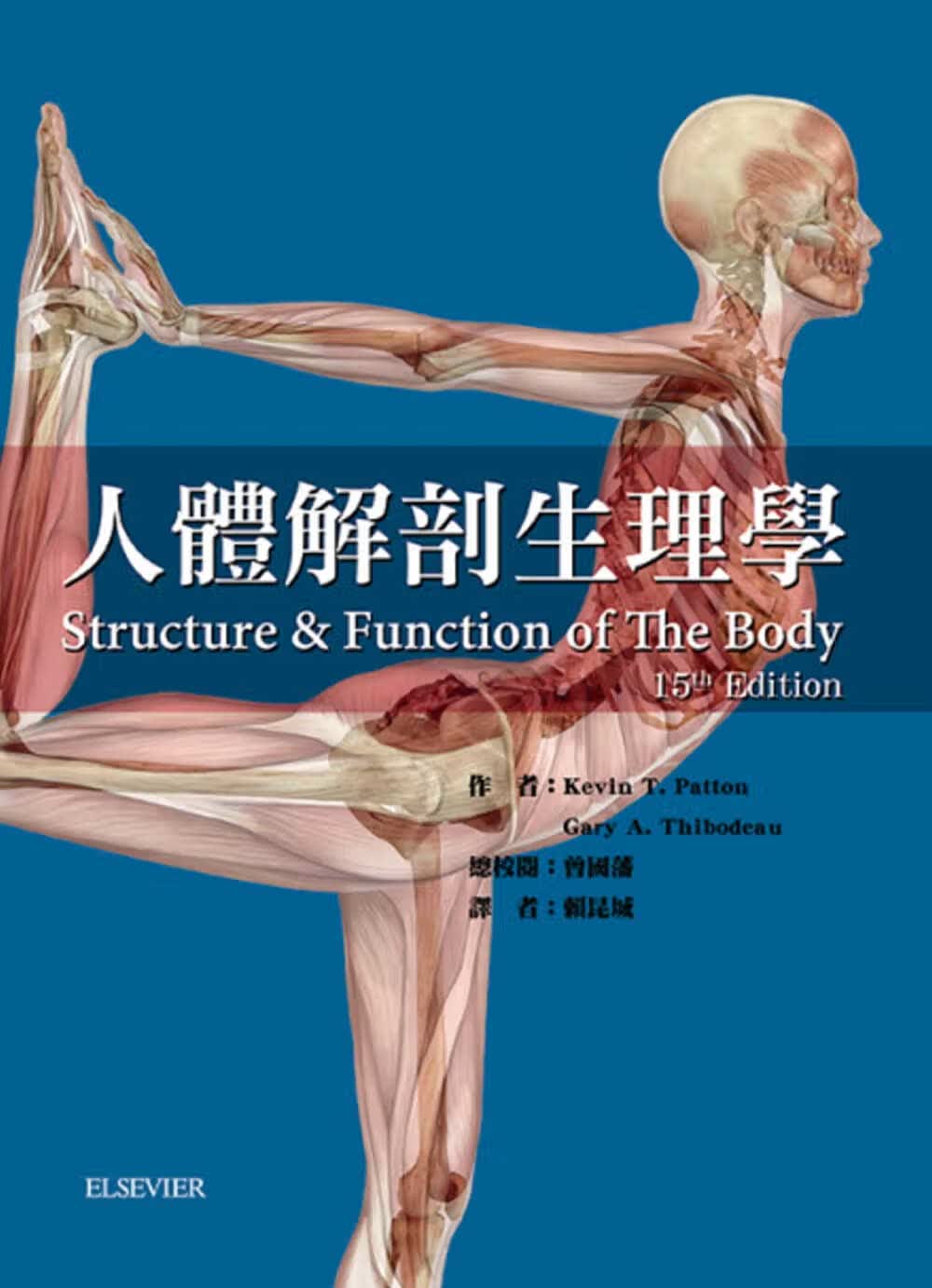 预售 人体解剖生理学 二版 台版原版 Kevin Patton 华腾文化