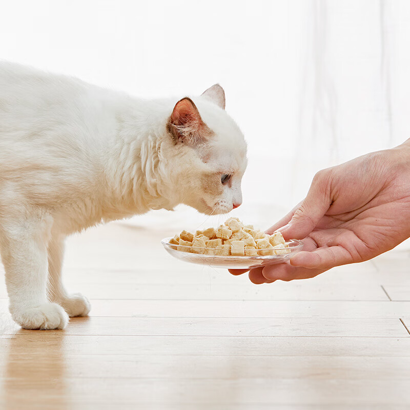 网易严选宠物纯肉猫狗通用零食鳕鱼冻干零食猫不吃蛋怎么回事。