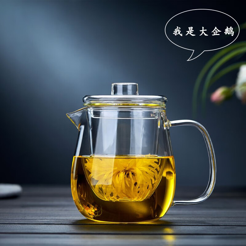 全度（Quandu）玻璃茶壶耐热玻璃泡茶壶花茶壶可明火加热煮茶壶企鹅壶 玻璃壶600ML