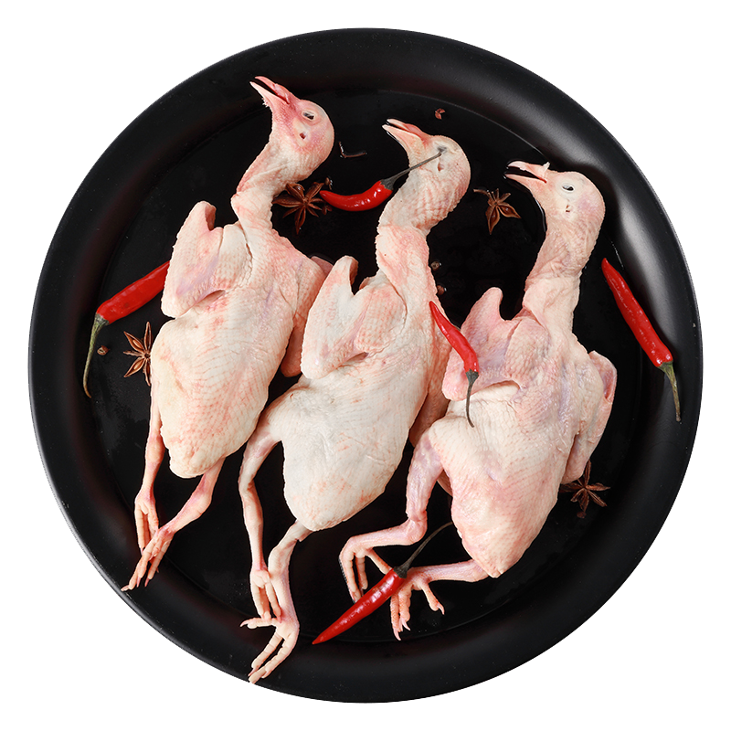 崠鮮 新鮮鴿子肉 新鮮冷凍農(nóng)家老鴿子土鴿 煲湯燒烤食材 乳鴿生鮮 3年老鴿子400g*5只 帶料包+鮮參