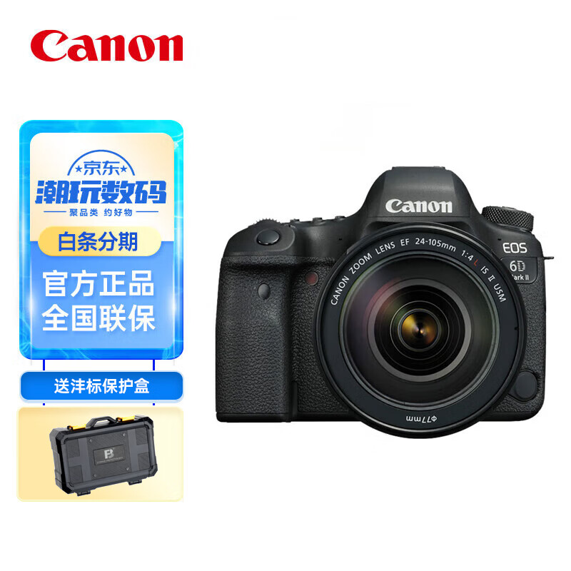 佳能（Canon）EOS 6D Mark II 6D2全画幅单反相机 L级24-105标准镜头套装 官方标配