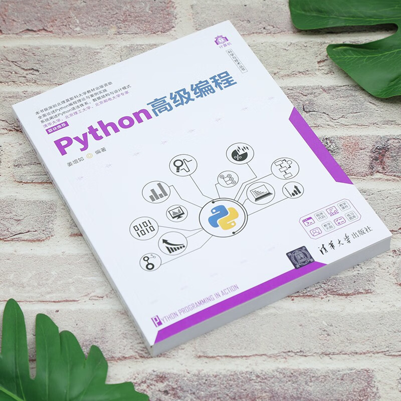 Python高级编程（计算机科学与技术丛书）详情图