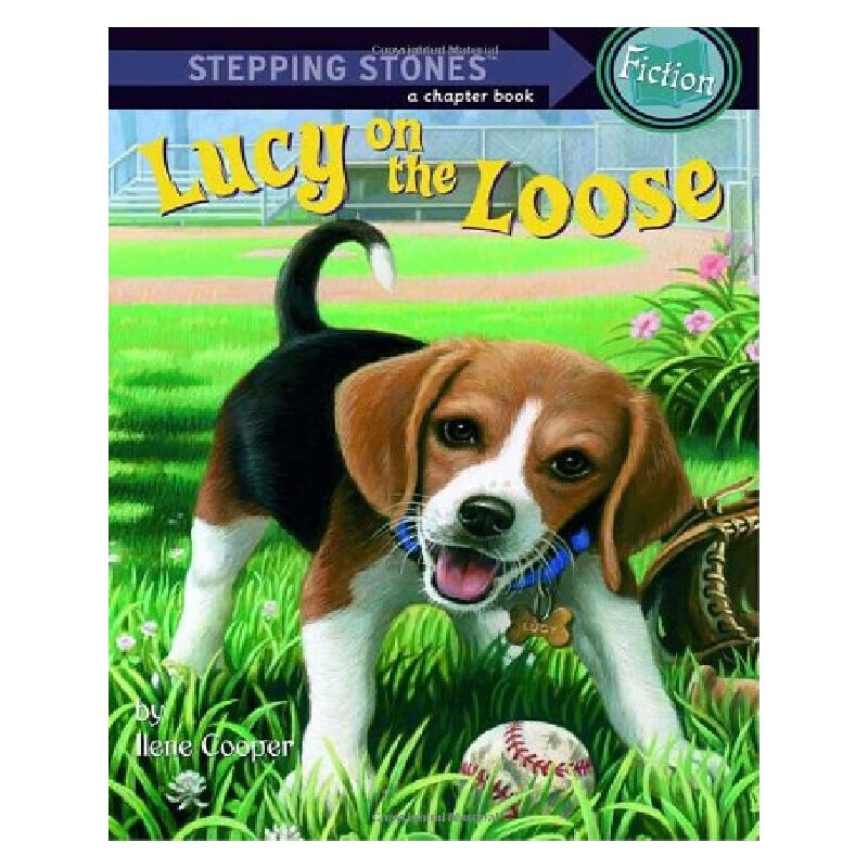 lucy on the loose  露西露兜(踏脚石书)【英文原版】