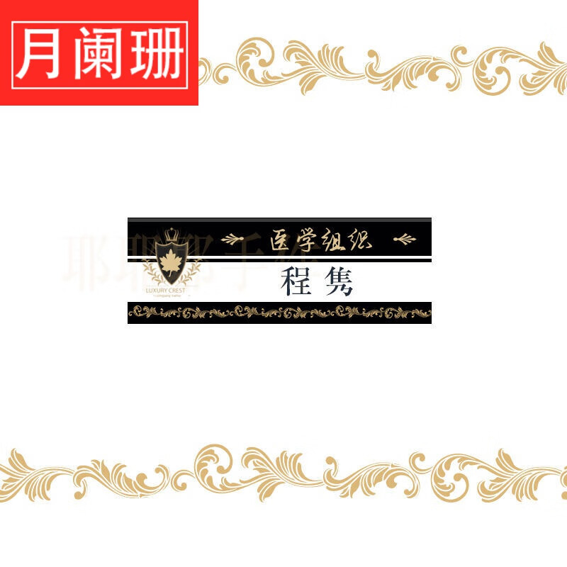 西门龙霆墨景深时瑾秦北墨厉爵风程隽小说胸针名扎校徽礼物ry 程隽