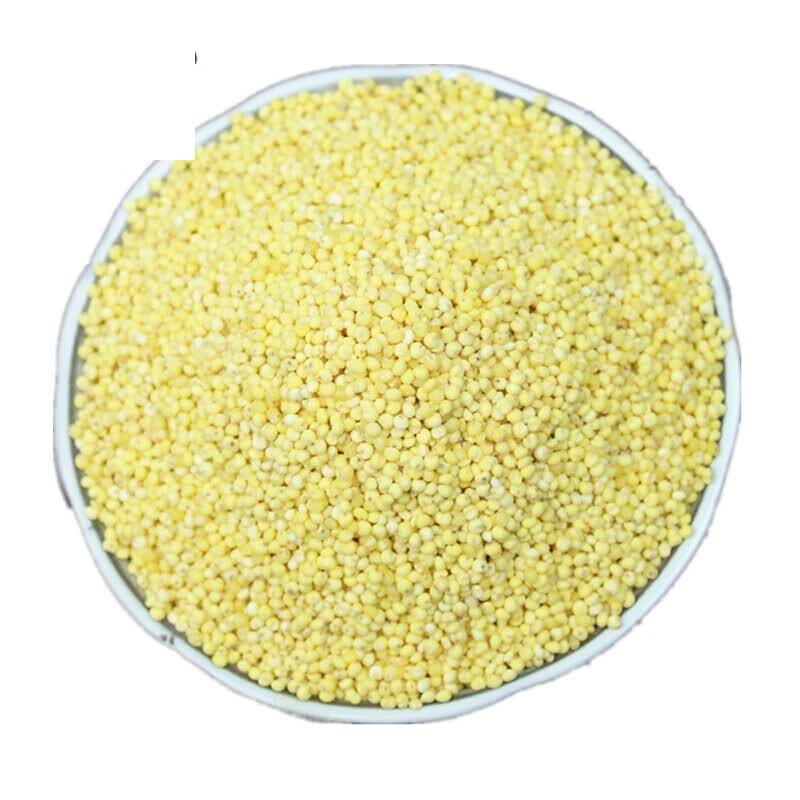 虎钢馋新米大黄米黏黄米糯小米粘黄米农家黍米杂粮米粗粮散装