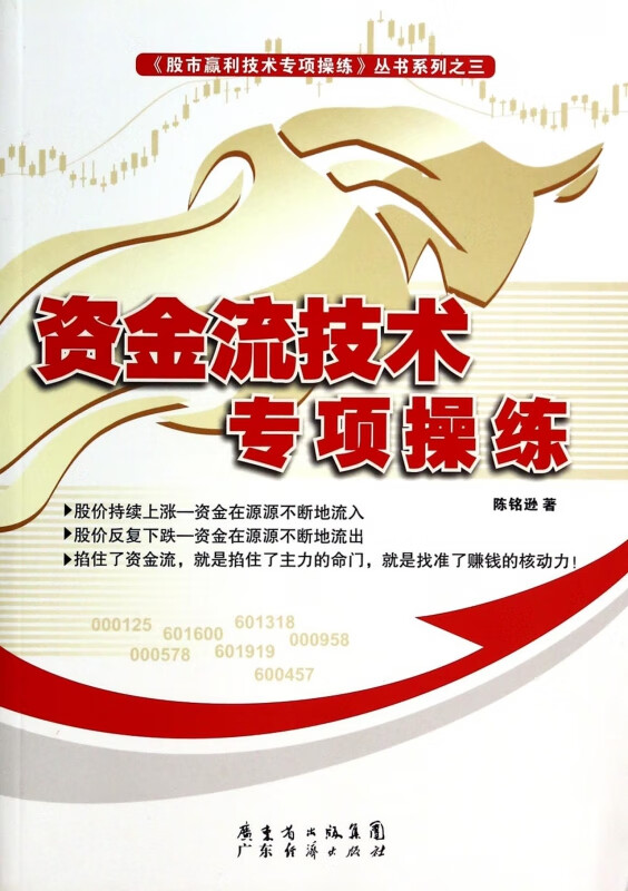 资金流技术专项操练/股市赢利技术专项操练丛书系列