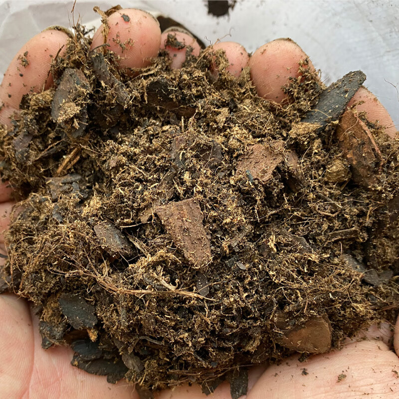 莱芮兰花君子兰蝴蝶兰肉质根北方兰科专用土 5.5斤兰科植物专用土