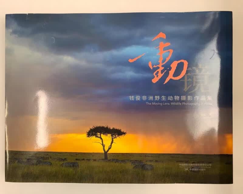 动镜：钱俊非洲野生动物摄影集 钱俊