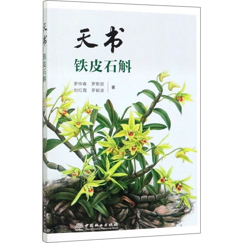 天书 铁皮石斛