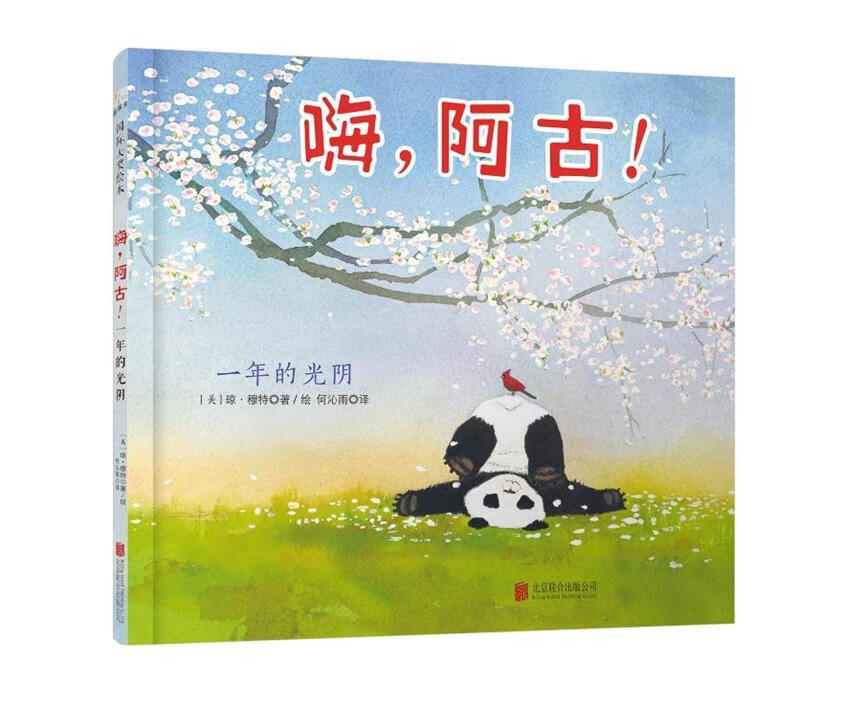 嗨，阿古！
