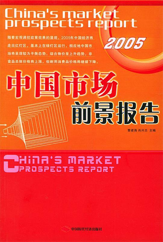 2009中国市场前景报告