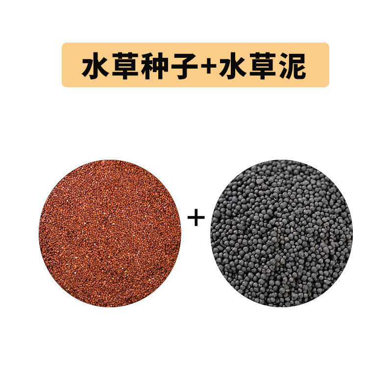 鱼缸水子籽水培diy桌面微景观居家绿植透明玻璃缸 水8克 水草泥500克