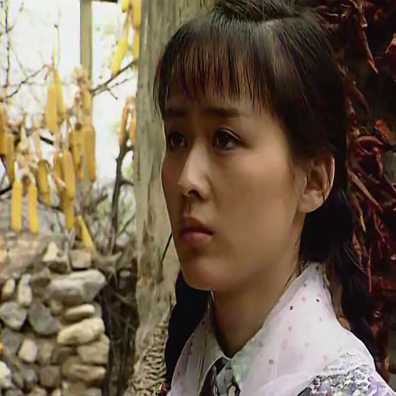erilles经典怀旧农村电视剧u盘趟过男人河的女人高清mp4视频优盘车载