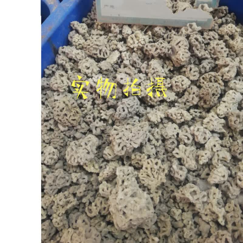 中药材 海浮石花 水泡石 海石花 浮水石 水花石   250克