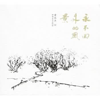 永不回来的风景【正版图书】