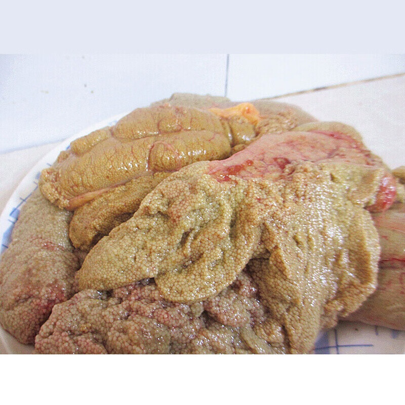 伯贤 新鲜鱼籽纯鲤鱼鱼籽鱼卵鱼蛋鱼子 2斤