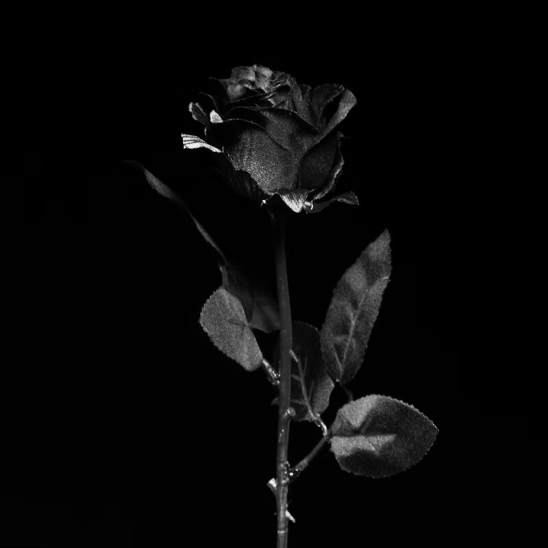 黑色仿真玫瑰花 黑暗写真拍照摄影道具 哥特黑玫瑰假花花束装饰 黑色