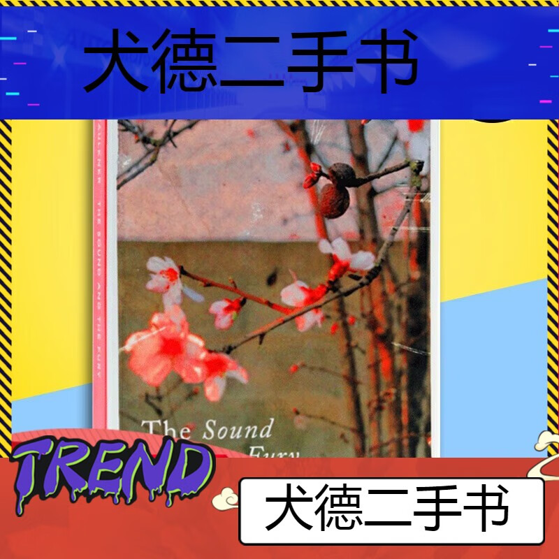 【二手9成新】喧哗与骚动英文thesoundandthefury喧嚣与躁动诺贝