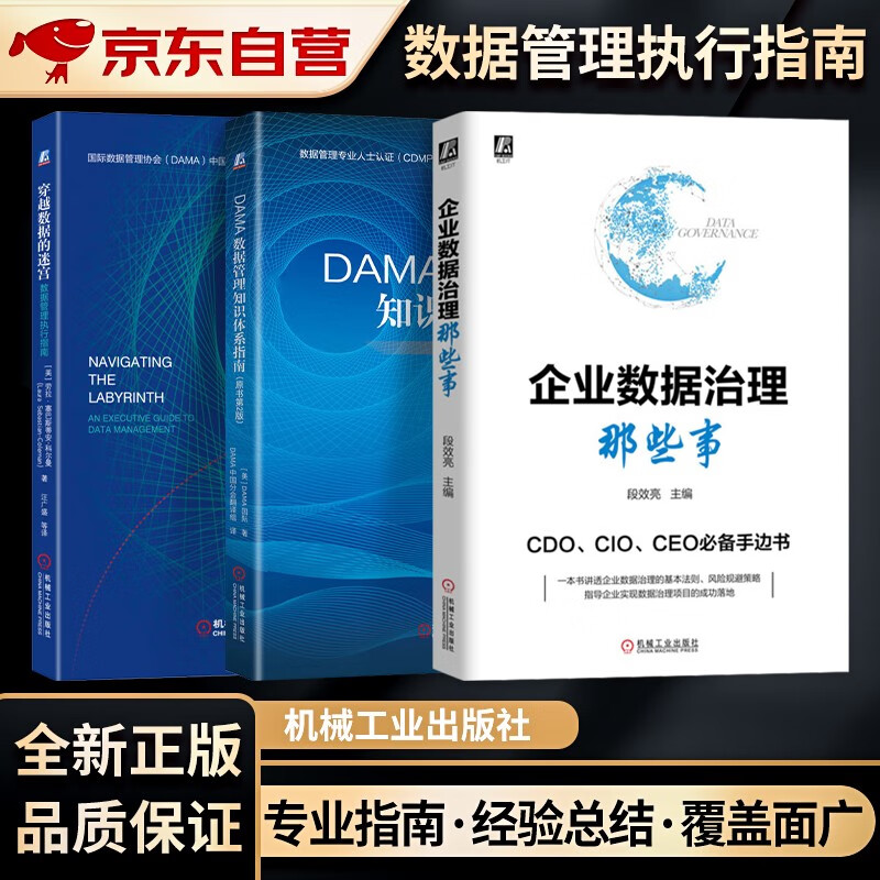 企业数据治理那些事+DAMA数据管理知识体系指南（原书第2版）+穿越数据的迷宫数据管理执行指南 3本套 数据管理&治理用书