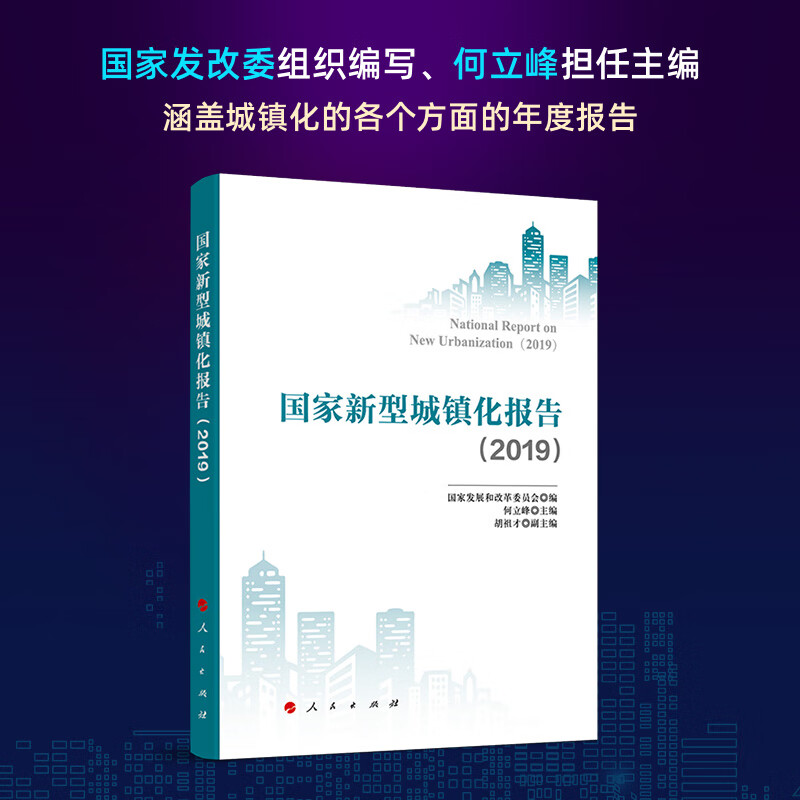 国家新型城镇化报告（2019） 人民出版社