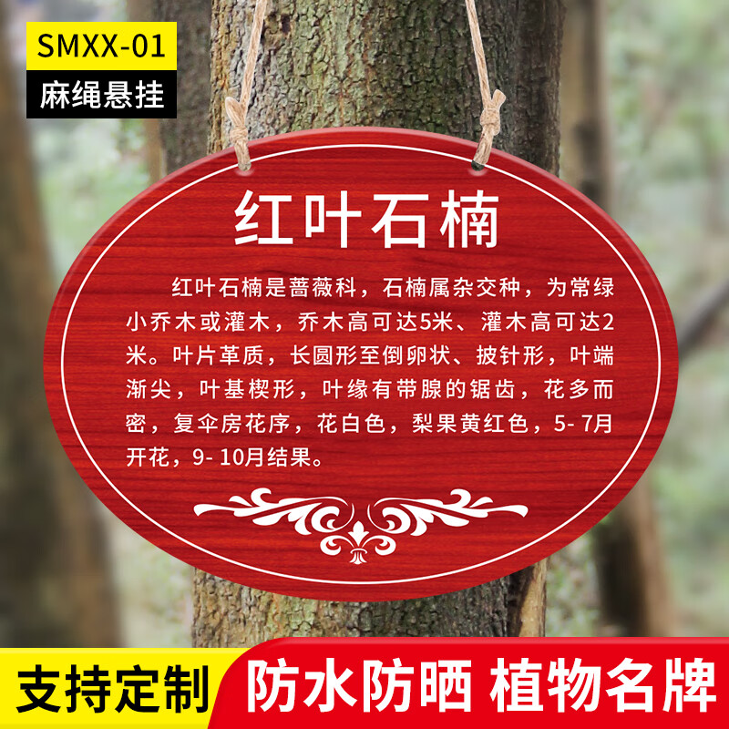 植物介绍挂牌植树节树牌植物挂牌树木认养介绍标识提示牌设 红叶石楠