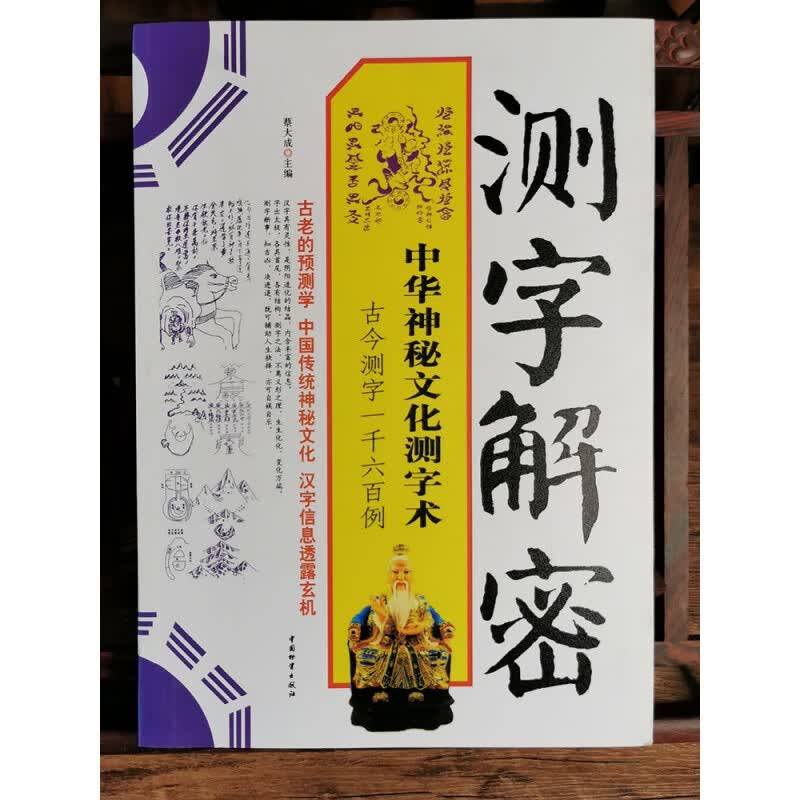 正版测字解密 中华神秘文化测字术 蔡大成 周易书籍 书