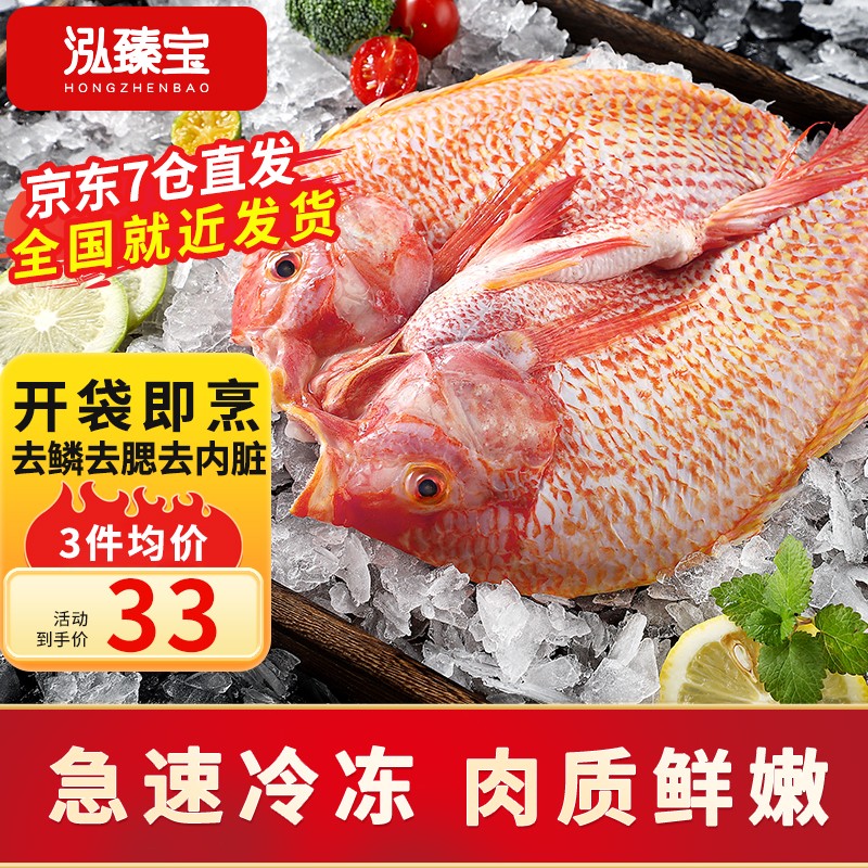 泓臻宝彩虹雕 新鲜活冻 三去开背彩虹鲷 鲷鱼 鱼类水产 去鳞去鳃去