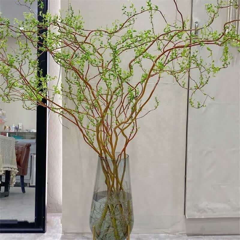 种花迷龙柳鲜枝插花客厅水培植物花卉室内鲜花水养干枝雪柳 龙柳鲜 龙柳鲜支1.5米高10支泡水长叶