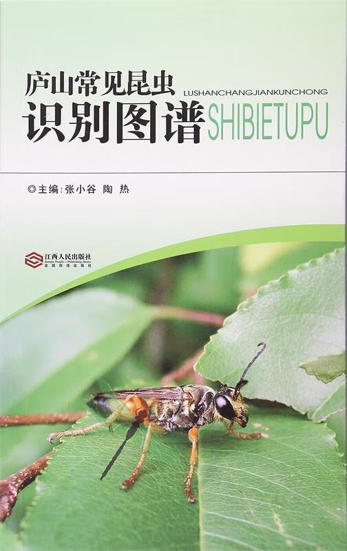 庐山常见昆虫识别图谱