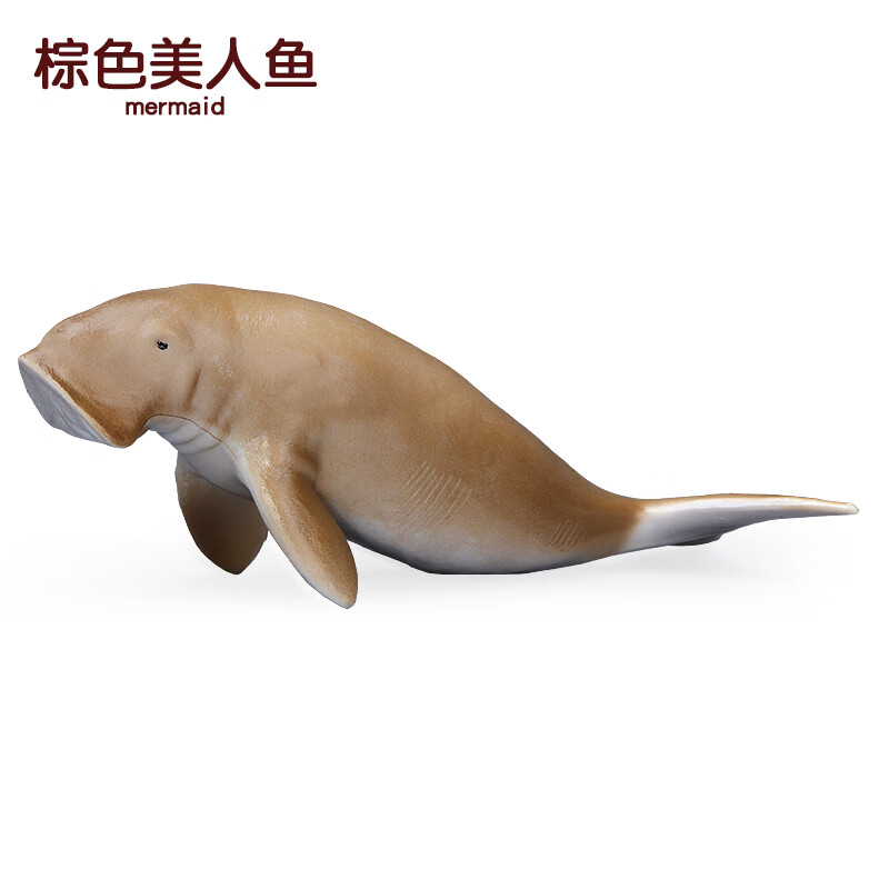 wiben仿真海洋生物模型美人鱼儒艮南海牛儿童动物科教认知男女孩礼物