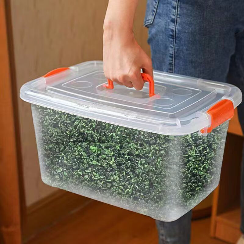 俏滋郎铁观音茶叶新茶福安建溪春茶清香浓香型 贈茶叶箱/铁观音250克