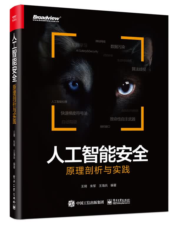 人工智能安全：原理剖析与实践